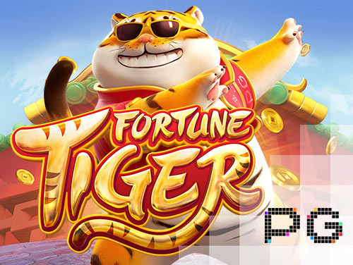 Slots online, o site ao vivo nº 1 do Paquistão